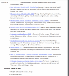 Brief Buddy Real Brief Page 3